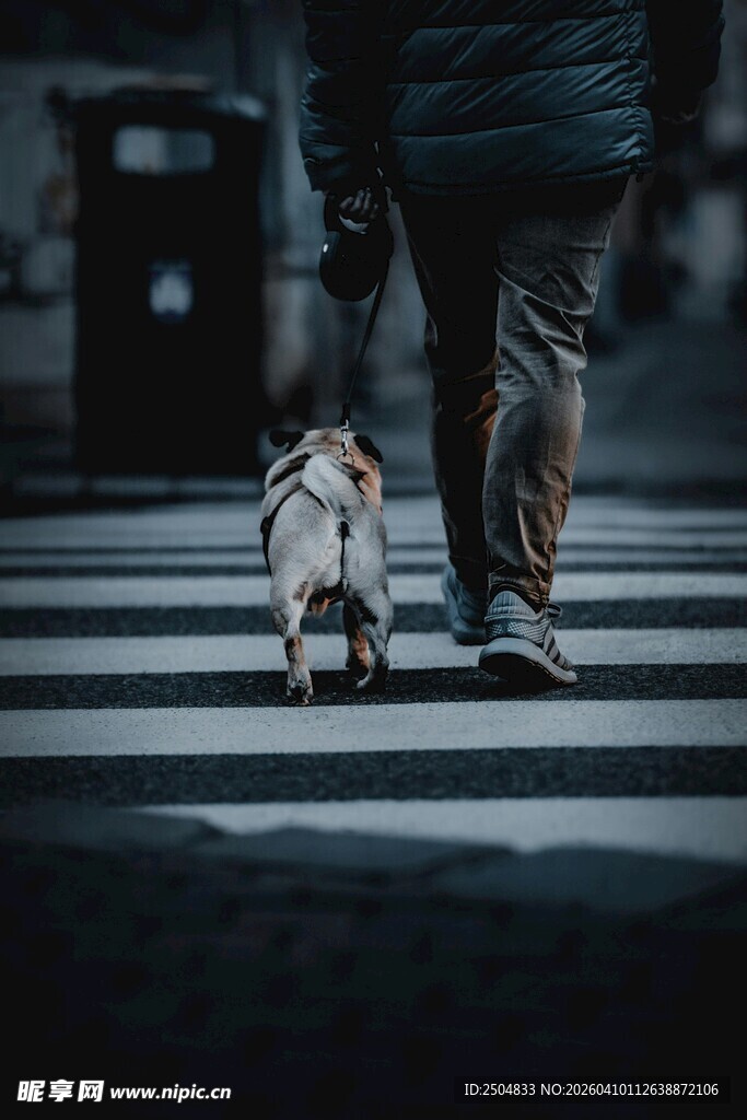 行人斑马线前的匆匆脚步