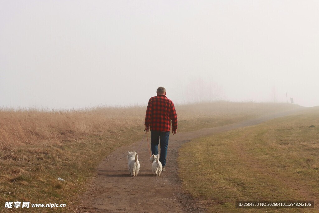 一人两犬漫步乡间小道