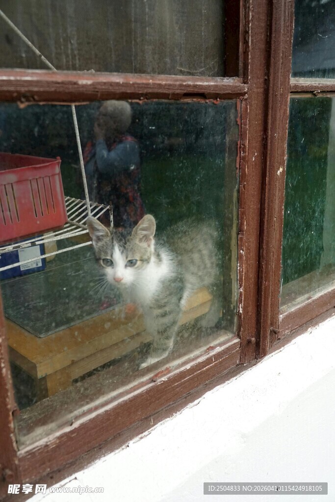 透过旧窗看屋内景象