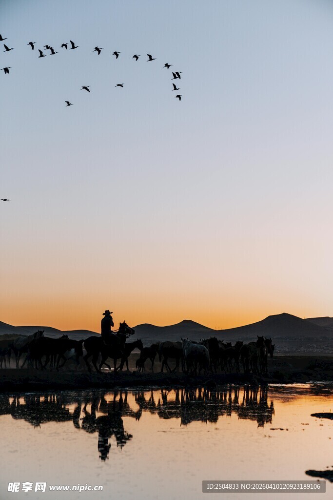 夕阳下飞鸟掠过平静湖面