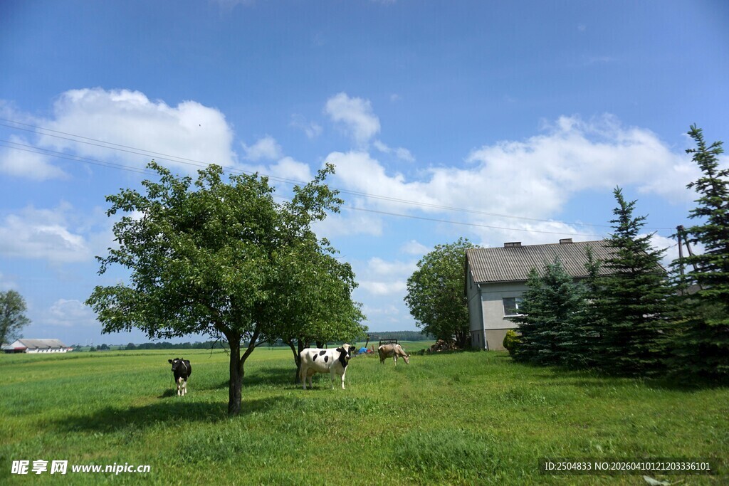 田园风光中的绿树与小屋