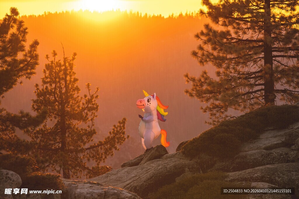 夕阳下舞者于山林间起舞