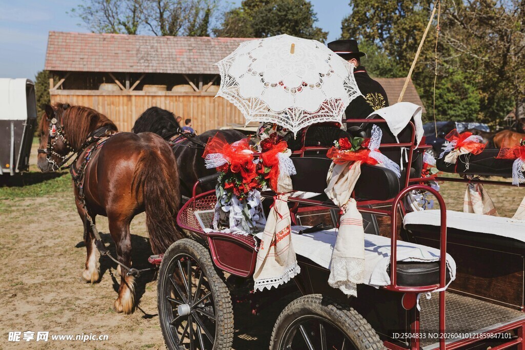 乡村马车场景 乘客悠然