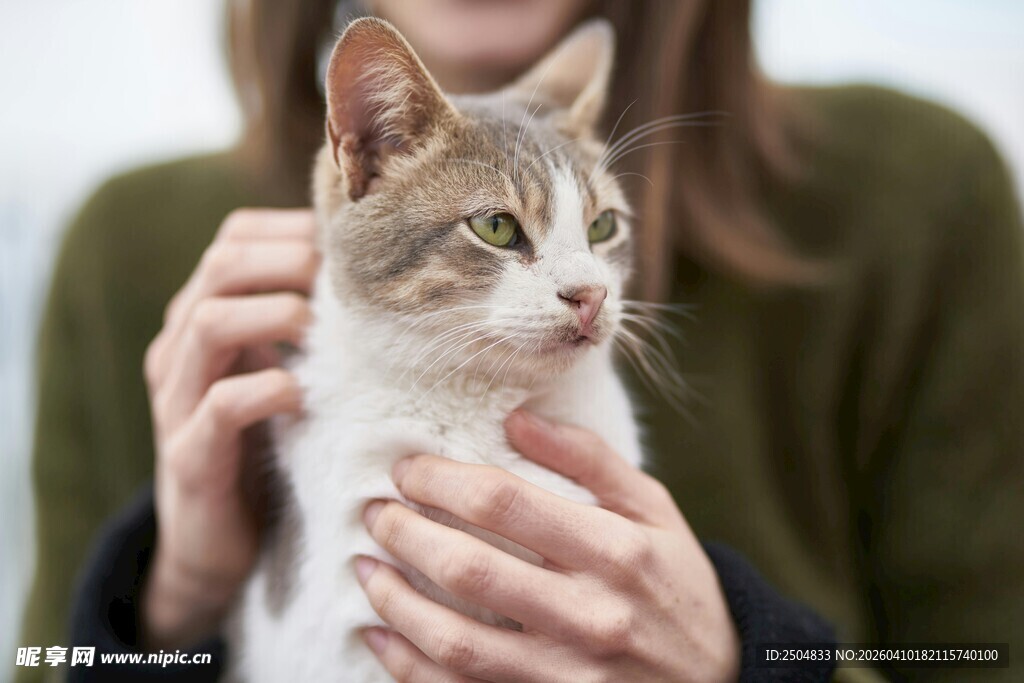 女子温柔抱持可爱猫咪
