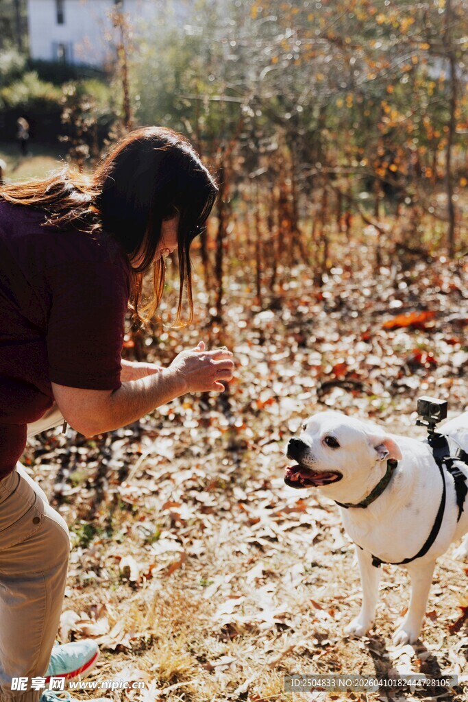 女子户外逗可爱白狗