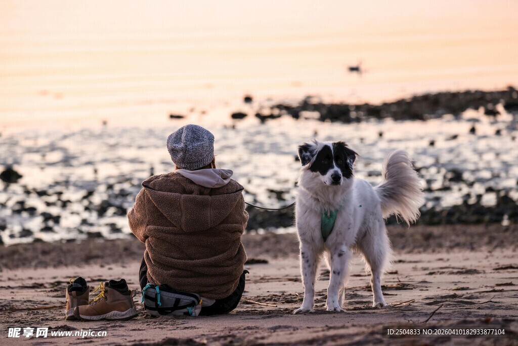 老人与狗的温馨海边时光