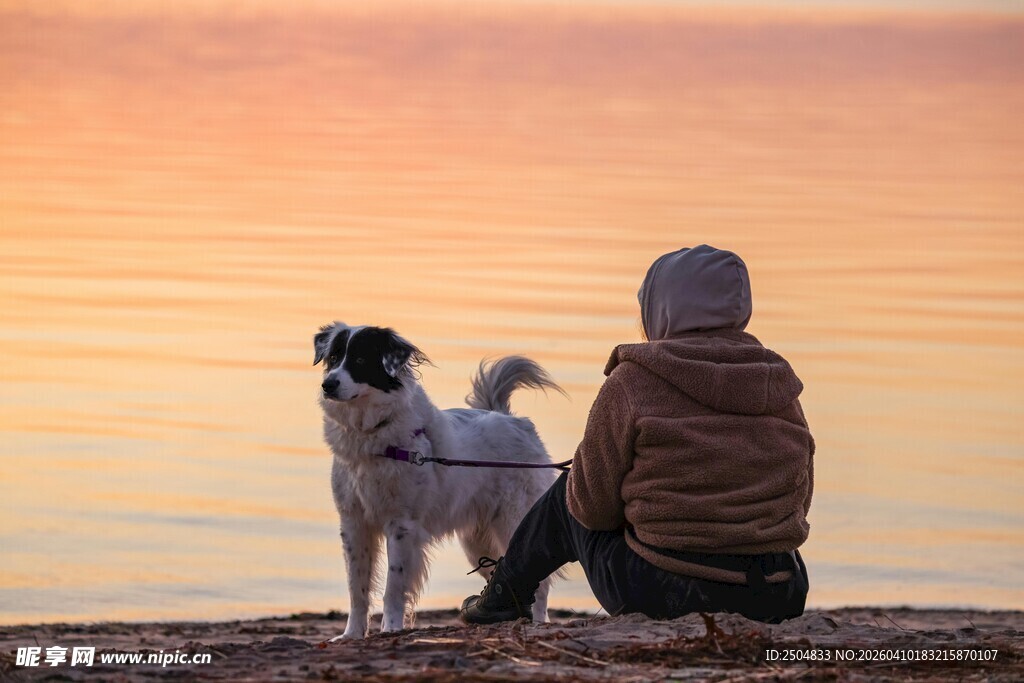 人与狗共赏黄昏美景