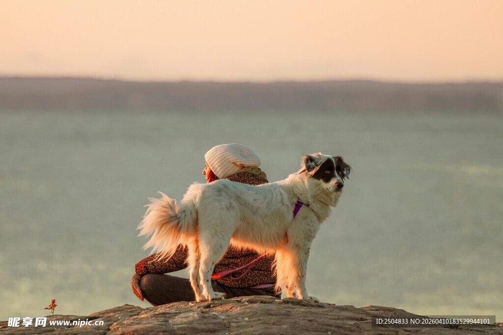 老人与狗海边温馨时刻