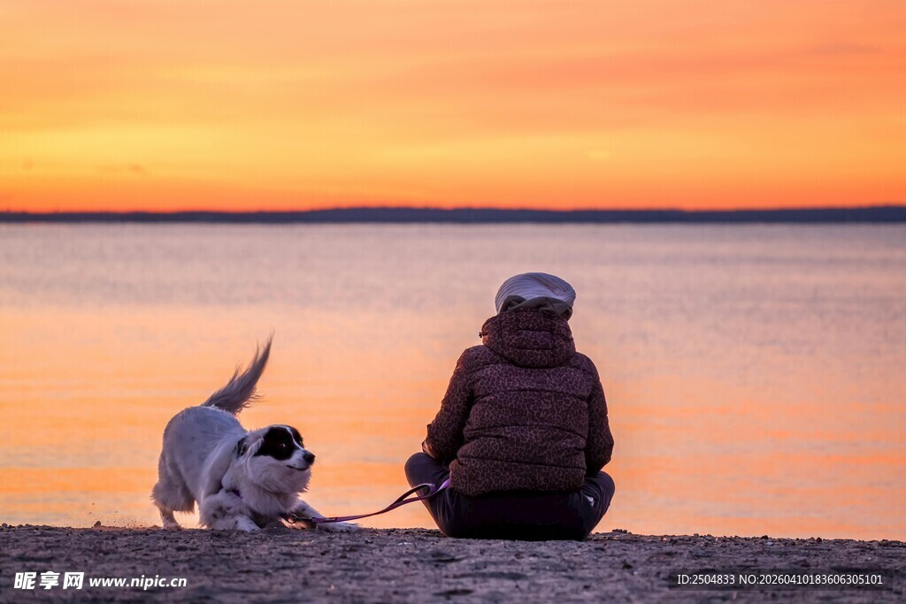 夕阳下人与狗的温馨时刻