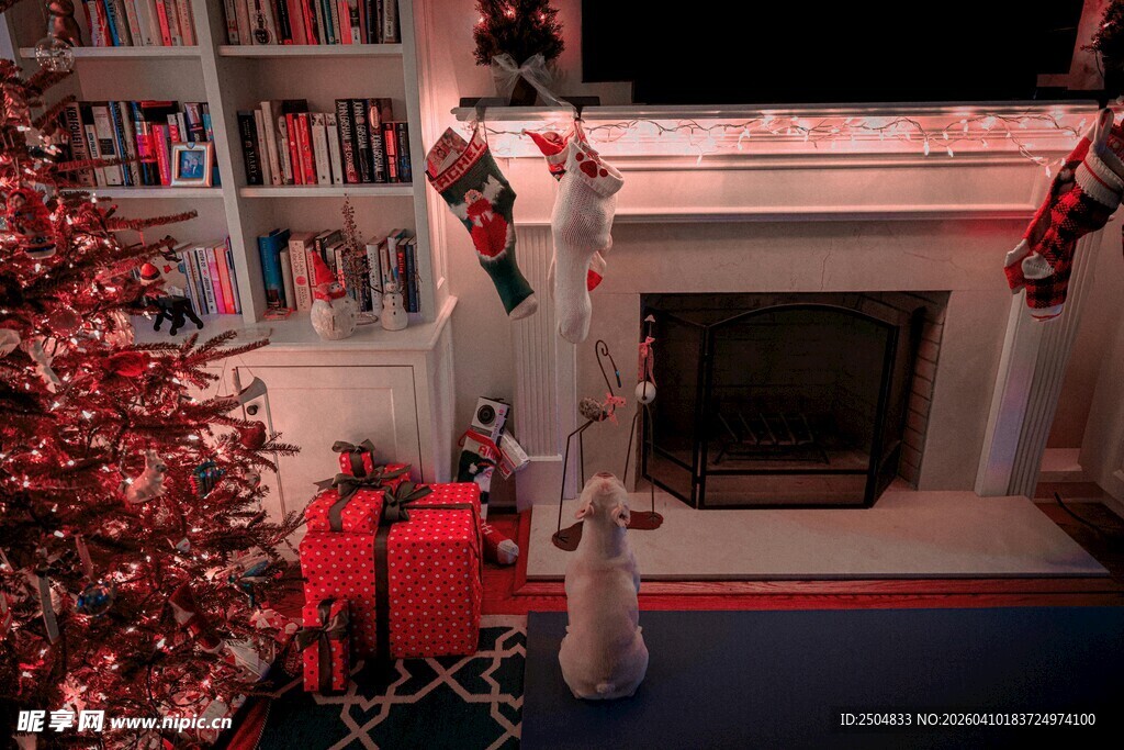 温馨圣诞 居装饰场景