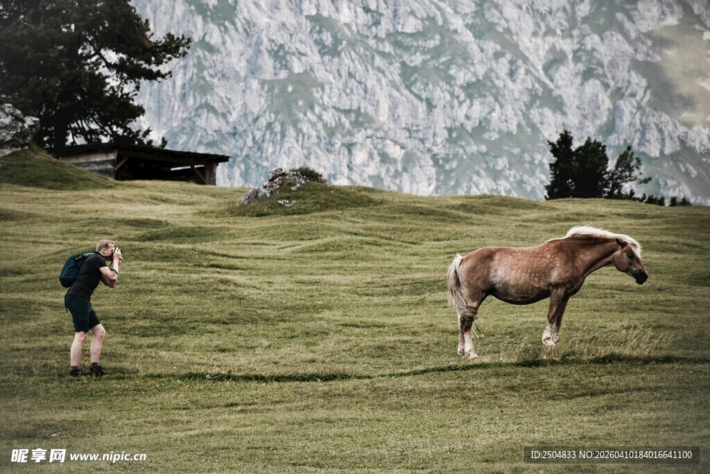 草原上人与马的温馨画面