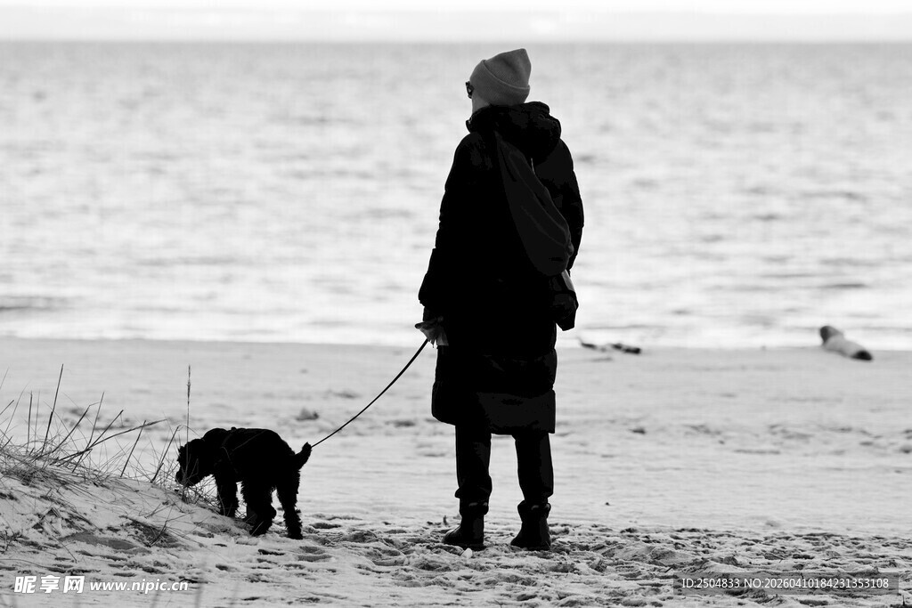 海边一人一狗的静谧时刻
