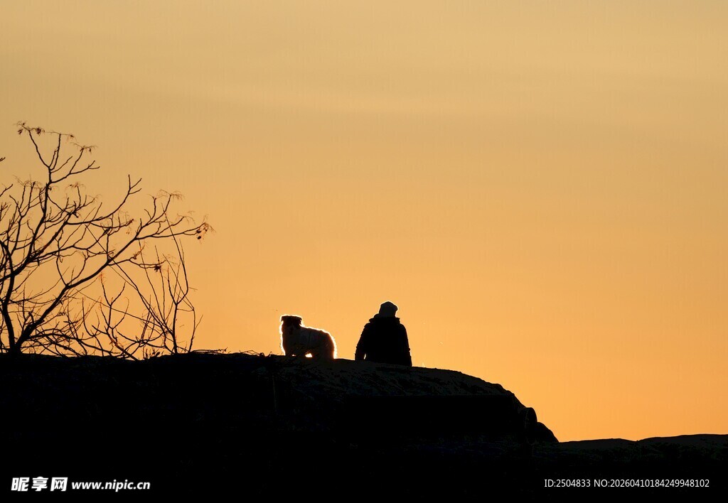 夕阳下人与动物的静谧剪影