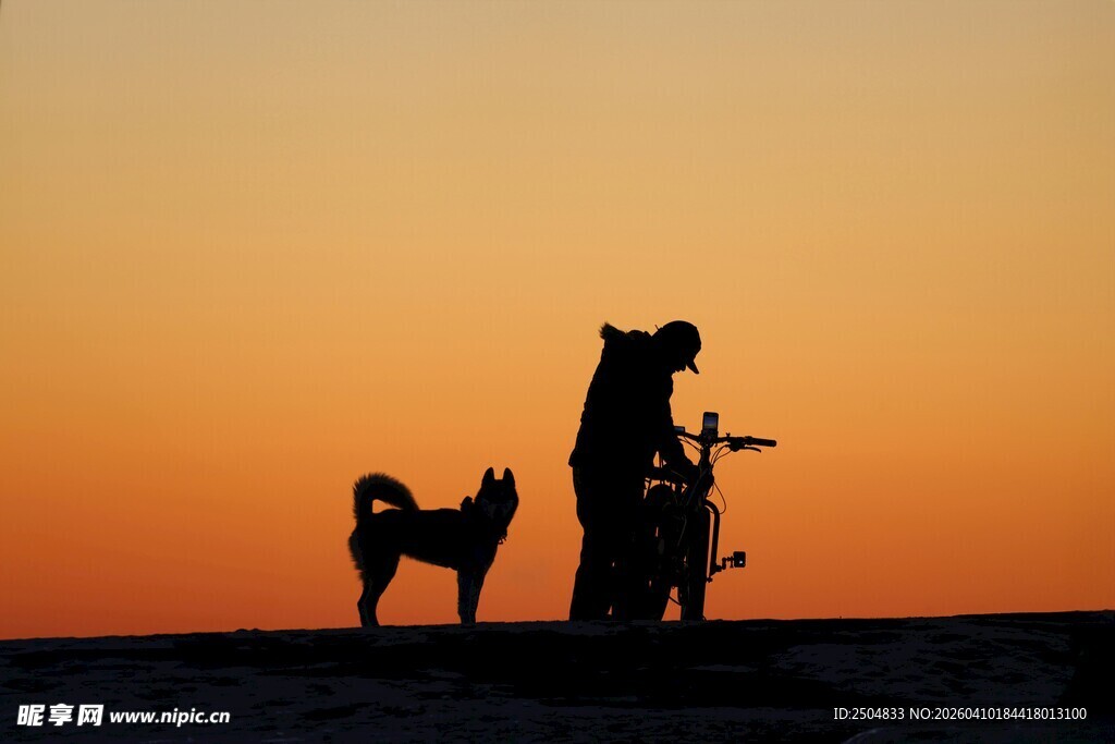 夕阳下人与狗的温馨剪影