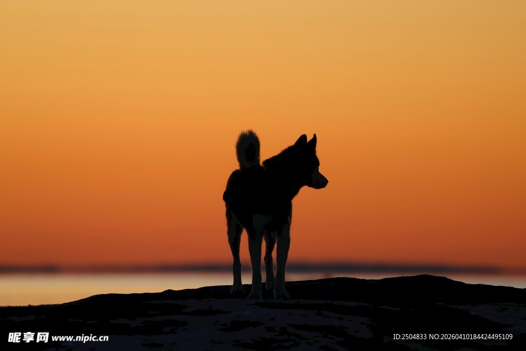 夕阳下人与马的孤独身影