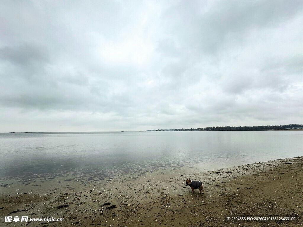 湖畔阴天景象 静谧氛围