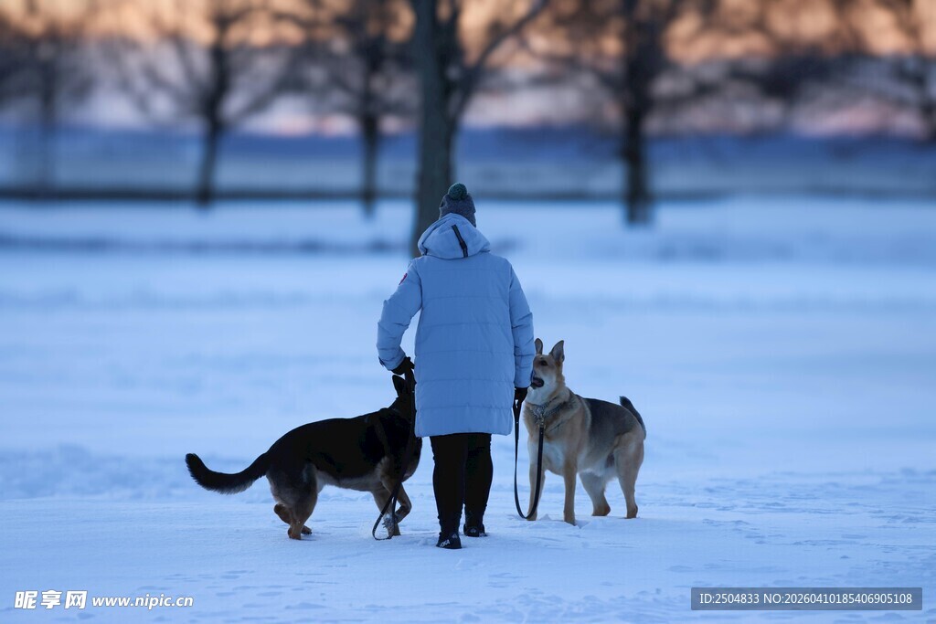 冬日一人两犬雪地漫步