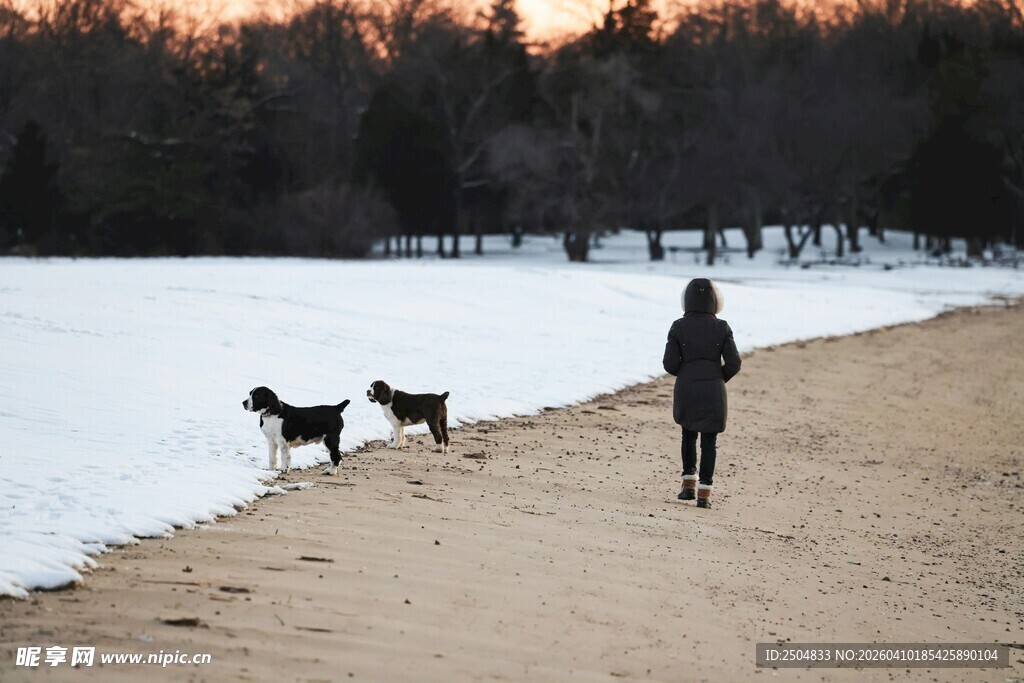 冬日湖畔人与双犬漫步