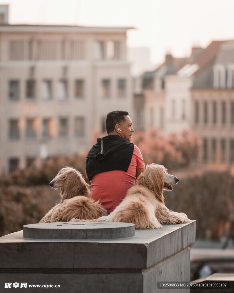 男子与狗坐于城市景观处