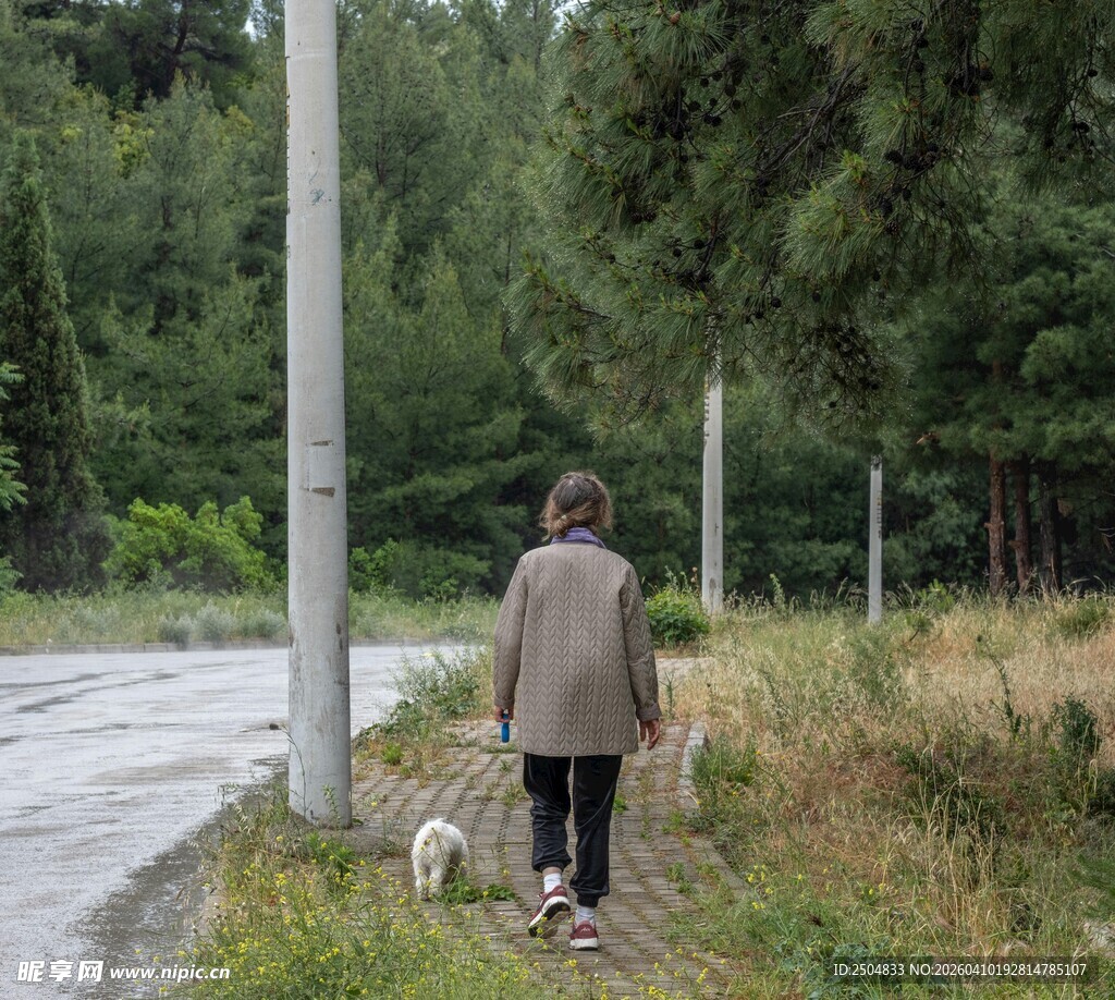 女子携双犬漫步林间小道