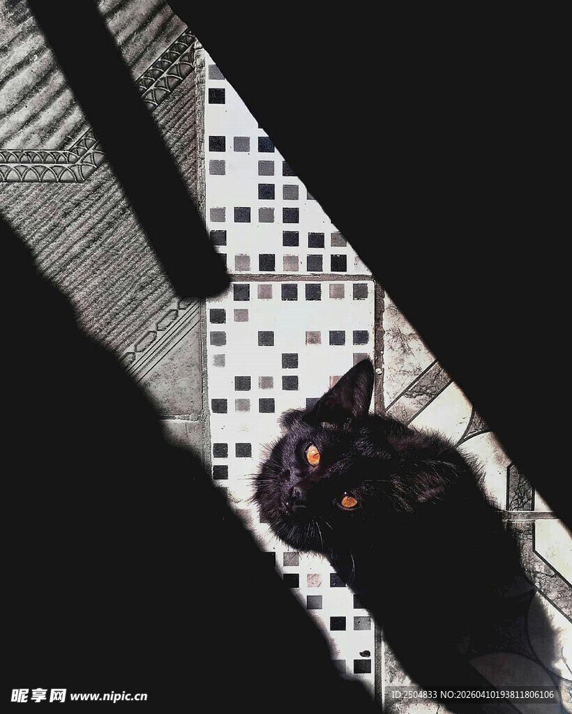 都市中独行的神秘身影