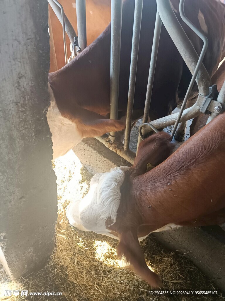 工人专注焊接金属部件