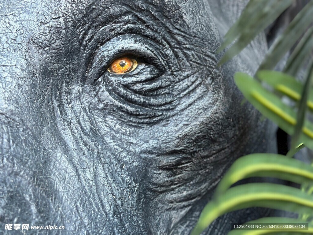 大象之眼 隐于葱郁绿意中