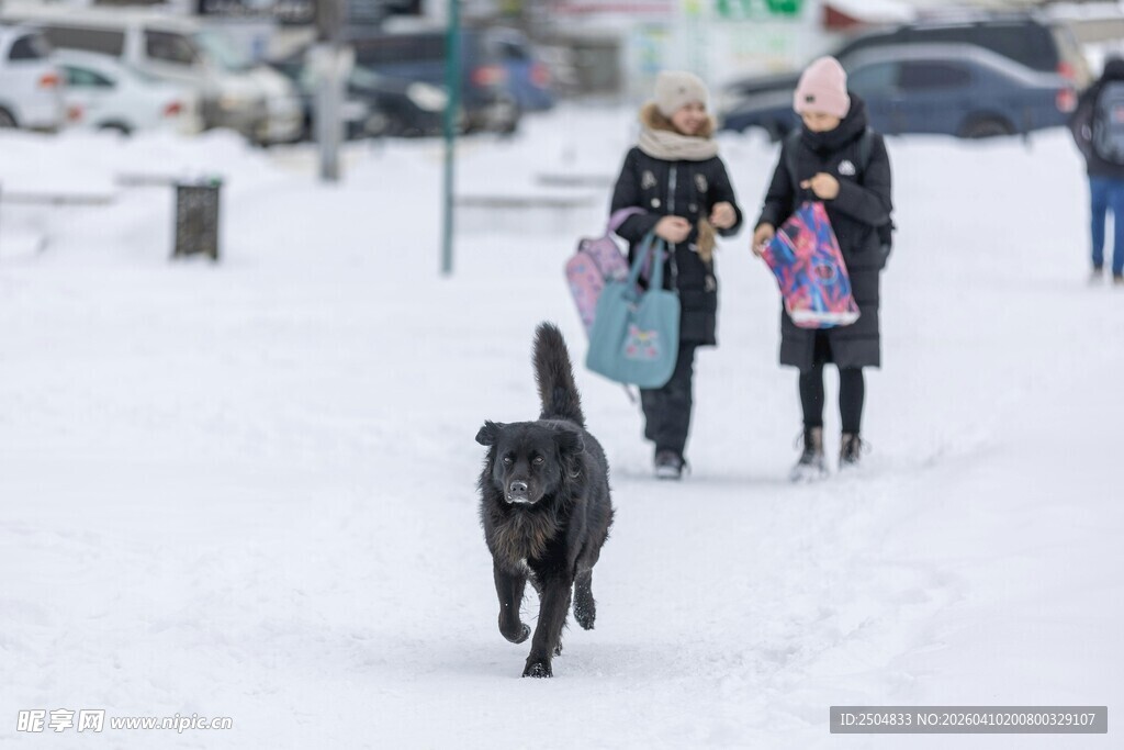 雪地中女子与黑狗漫步
