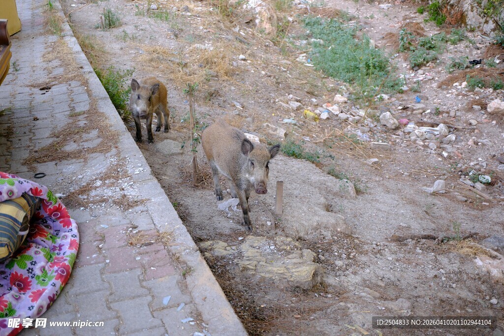 户外角落的多彩物件与岩石