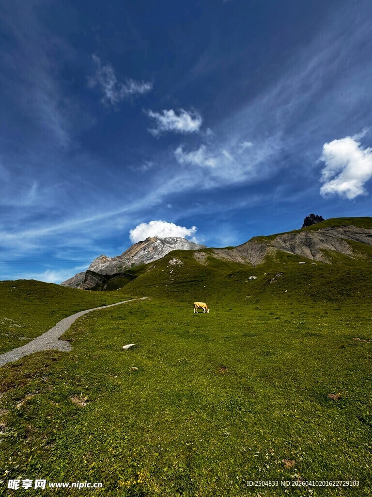 山间草地美景