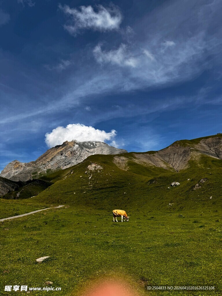 山间绿野中的悠然景象