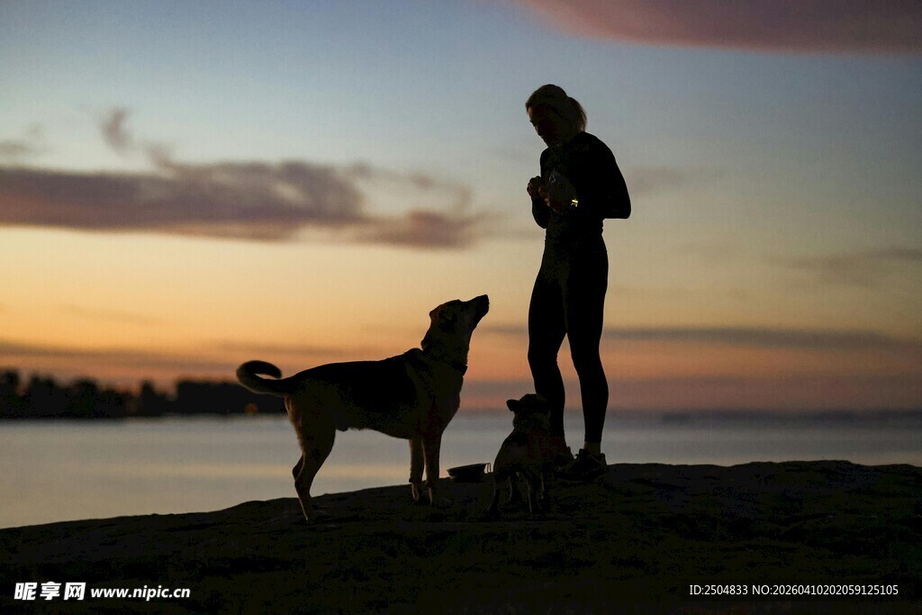 夕阳下人与两犬温馨画面