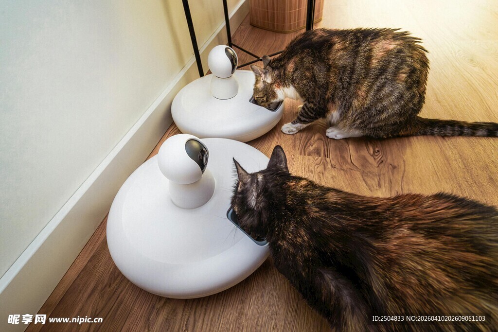 猫咪嗅探室内加湿器