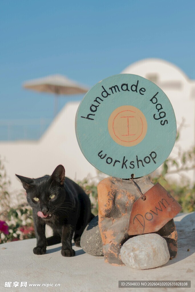 黑猫旁的海洋主题装饰牌