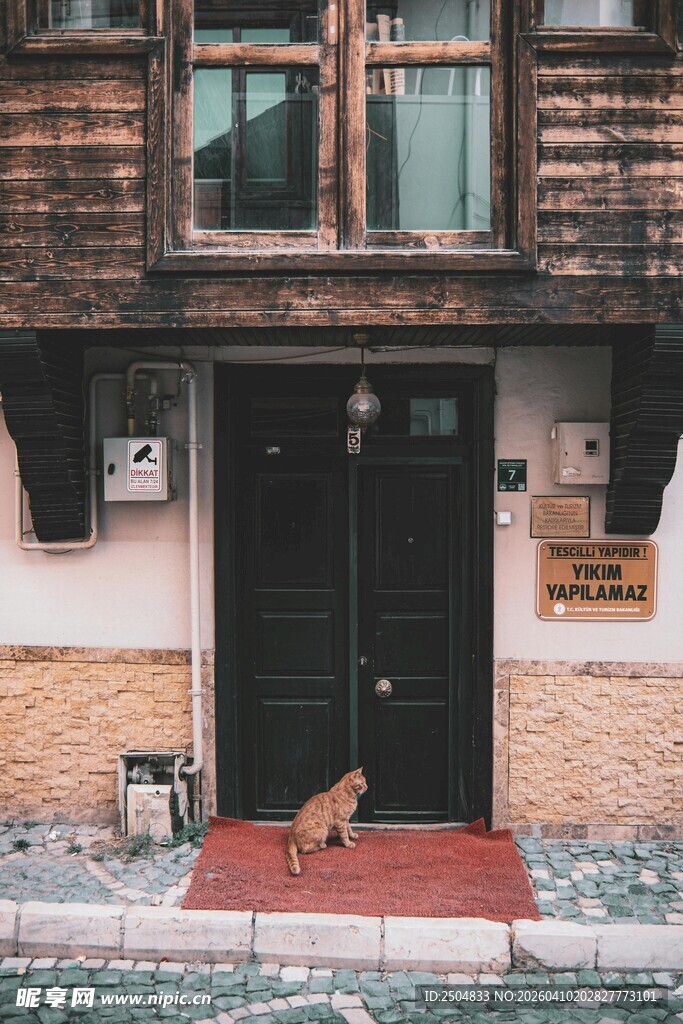 门前小狗 古朴建筑景致