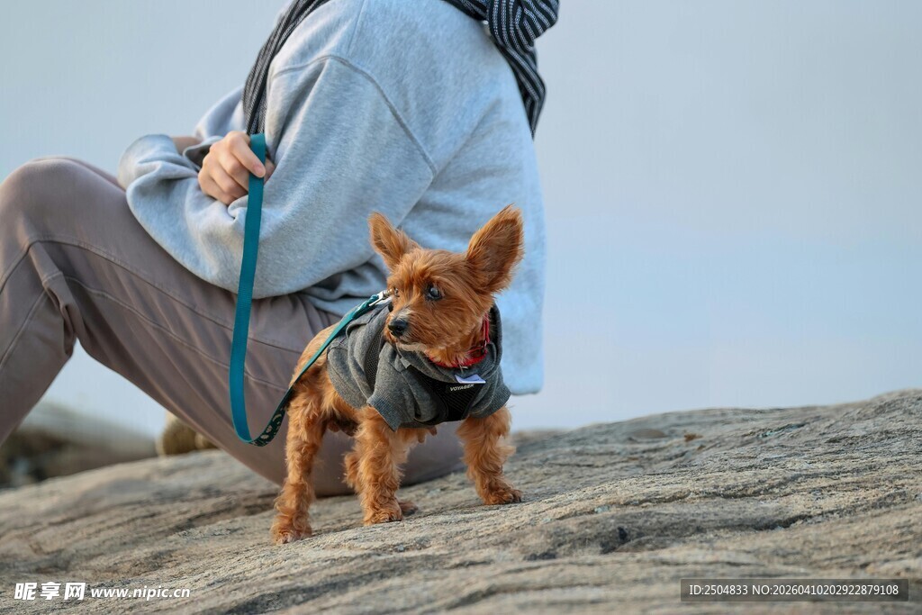 人与萌犬户外惬意时光