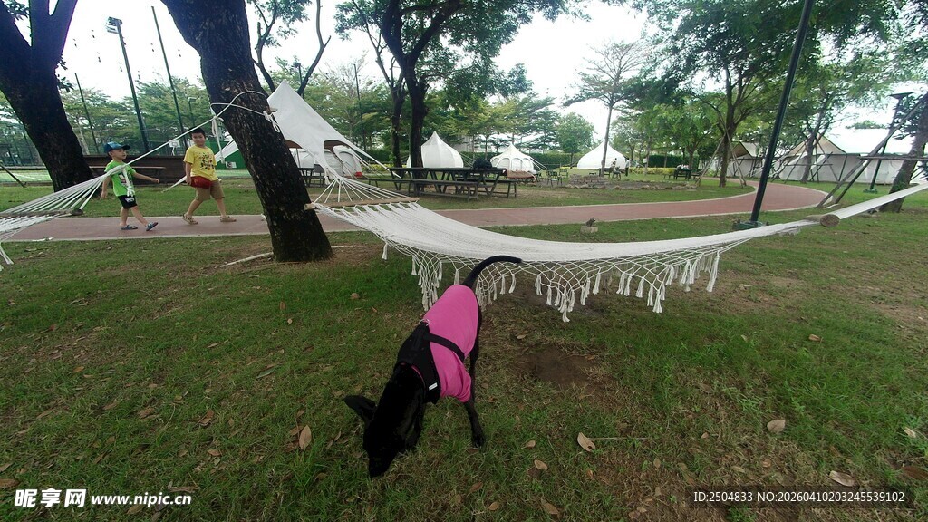 户外草地吊床休闲场景