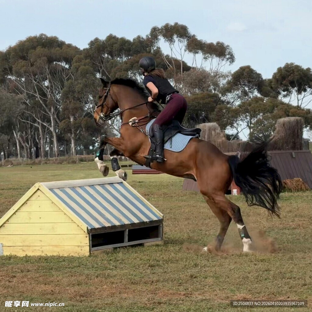 骑手策马跨越障碍