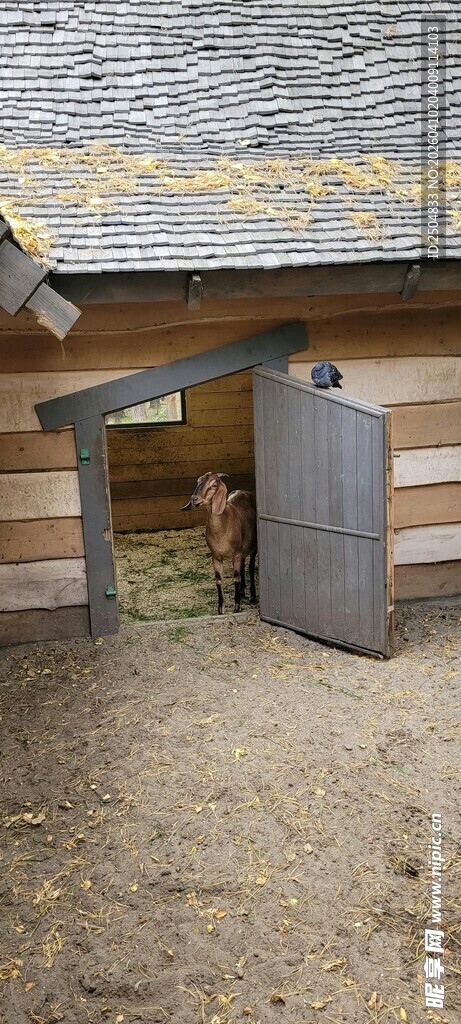 木质小屋的灰色门与窗