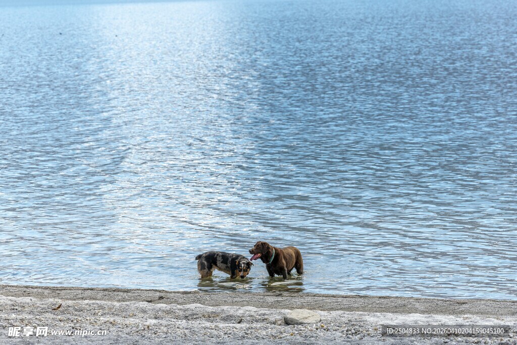 湖边人群享受美好时光