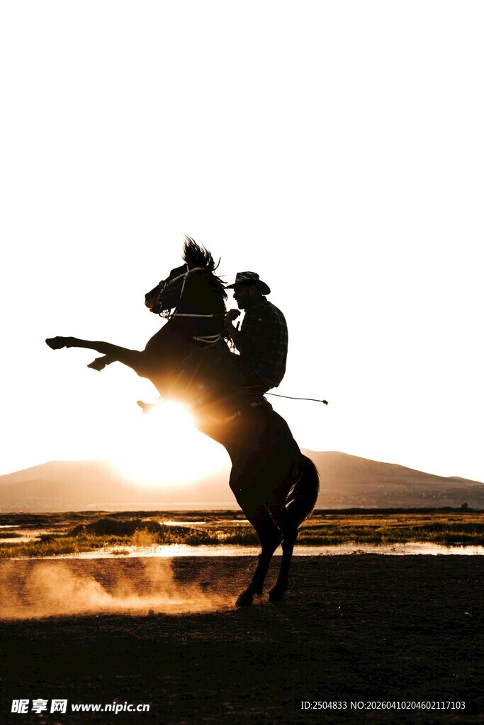 夕阳下骑手与跃起的骏马