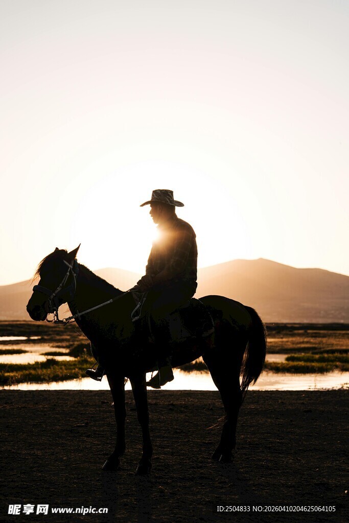 夕阳下的牛仔骑马剪影