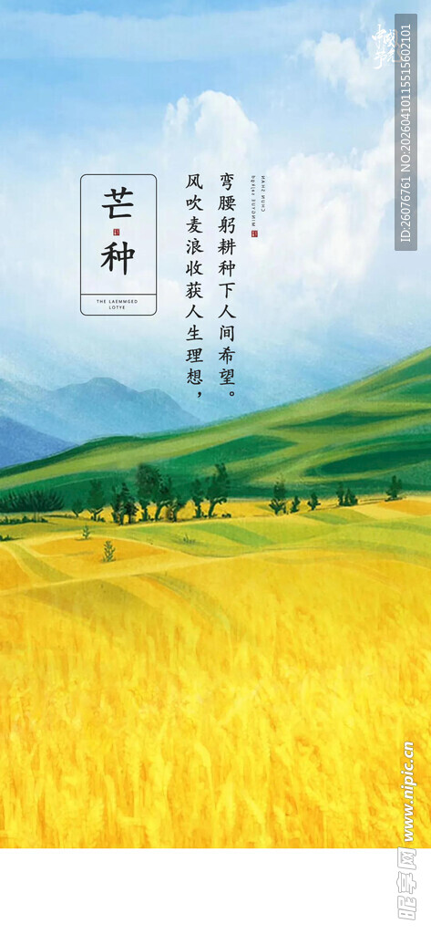 芒种 