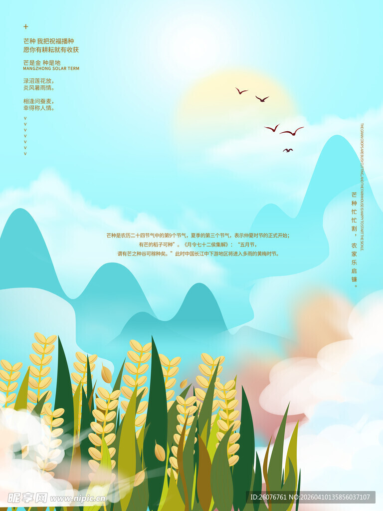 芒种 