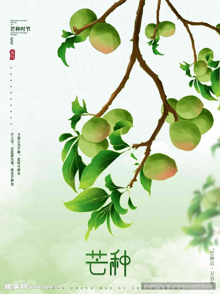 芒种 