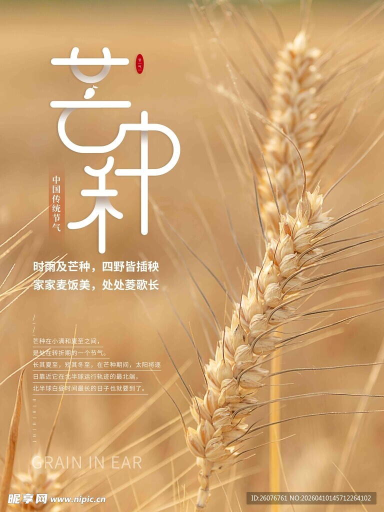 芒种 