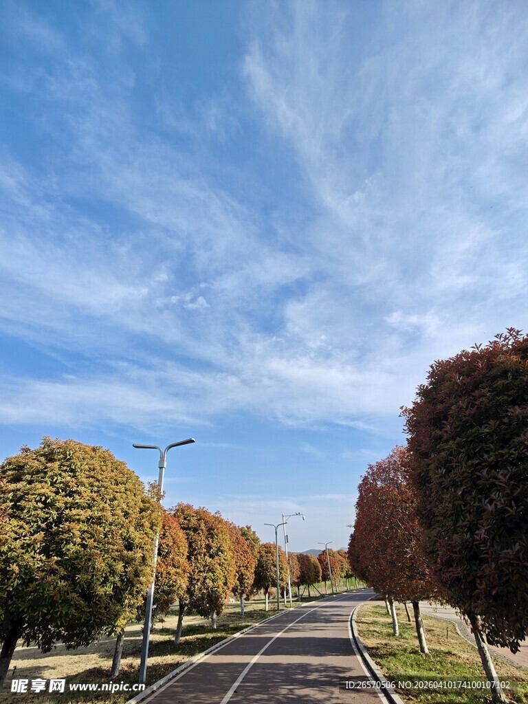 秋日林荫道风景