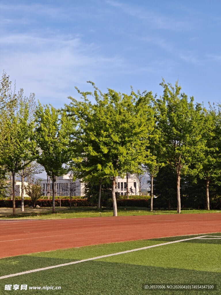校园绿茵跑道与葱郁树木