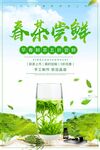 春茶尝鲜