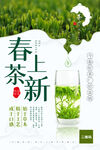 春茶上新